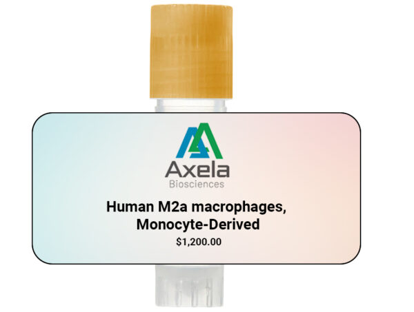 Anti-Human Magnetic Beads