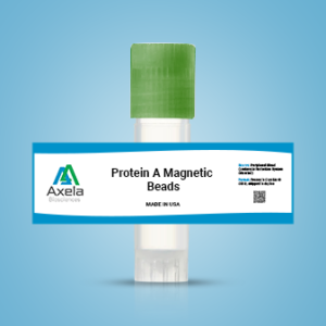 Protein A Magnetic Beads