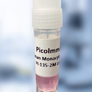 CD14+ Monocytes