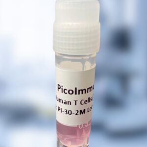 CD3+ Pan T Cells