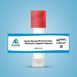 CD16+ Monocytes