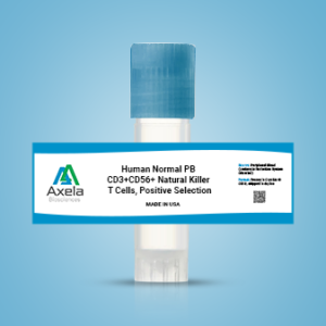CD3+ CD56+ Natural Killer T Cells