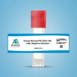 Human Normal PB CD56+ NK cells, Negative Selection