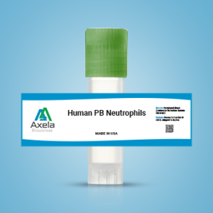 Human PB Neutrophils